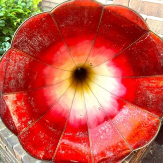 Beautiful All Original Red Morning Glory Horn