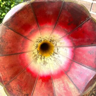 Nice! Original Red Morning Glory Horn